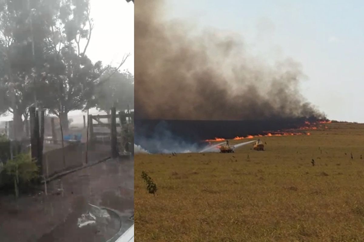 Chuva ajuda a controlar avanço de incêndio em parque estadual de MS