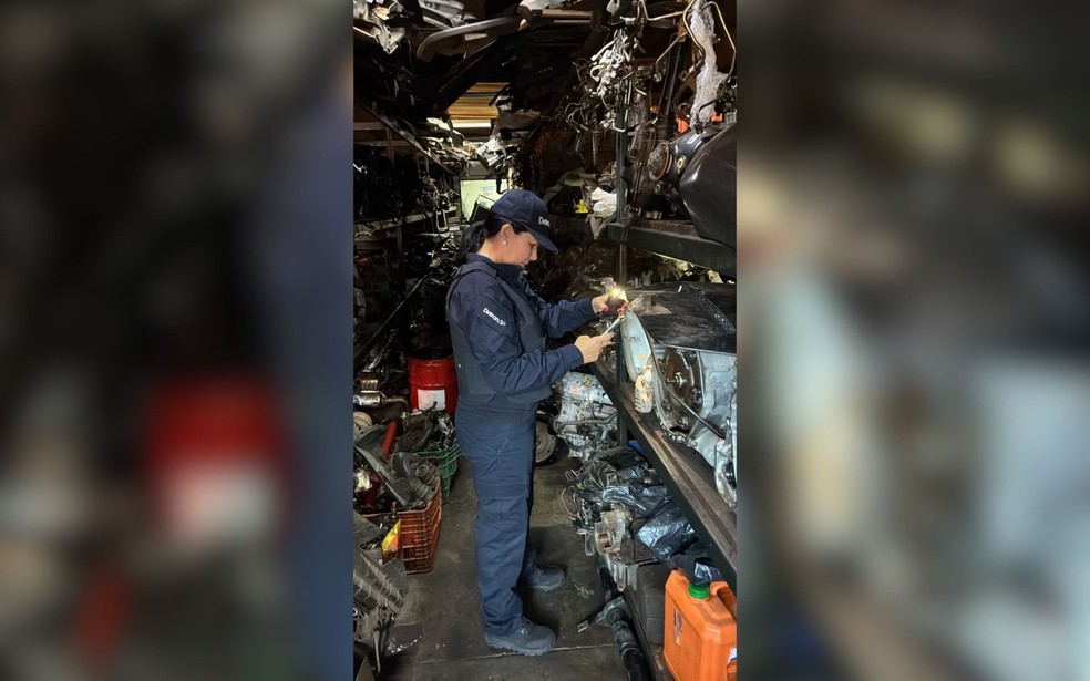 'Oper&ccedil;&atilde;o Desmanche' lacra 12 locais e apreende ve&iacute;culos no noroeste de SP &mdash; Foto: Foto: Pol&iacute;cia Civil