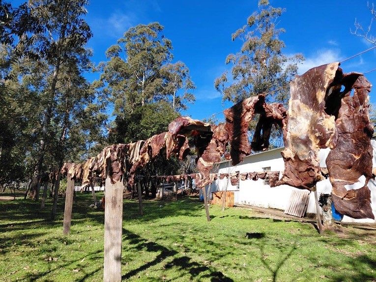 CTG de Santiago prepara 1 tonelada de charque para a Semana Farroupilha