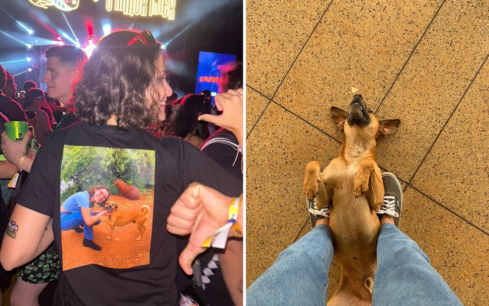 Cachorro caramelo Zé e a estudante Daniela Silveira, na Universidade Federal de Goiás (UFG) — Foto: Arquivo pessoal/Daniela Silveira