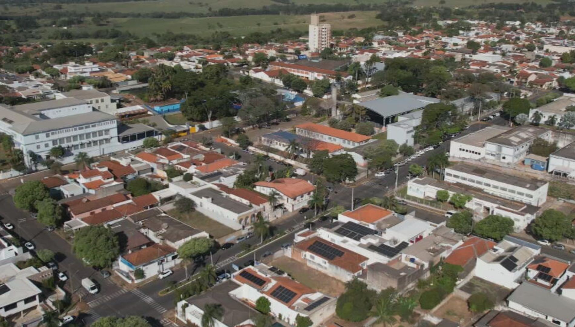 Tem Solução: arborização ajuda a reduzir calor extremo e ganha espaço como estratégia de adaptação climática