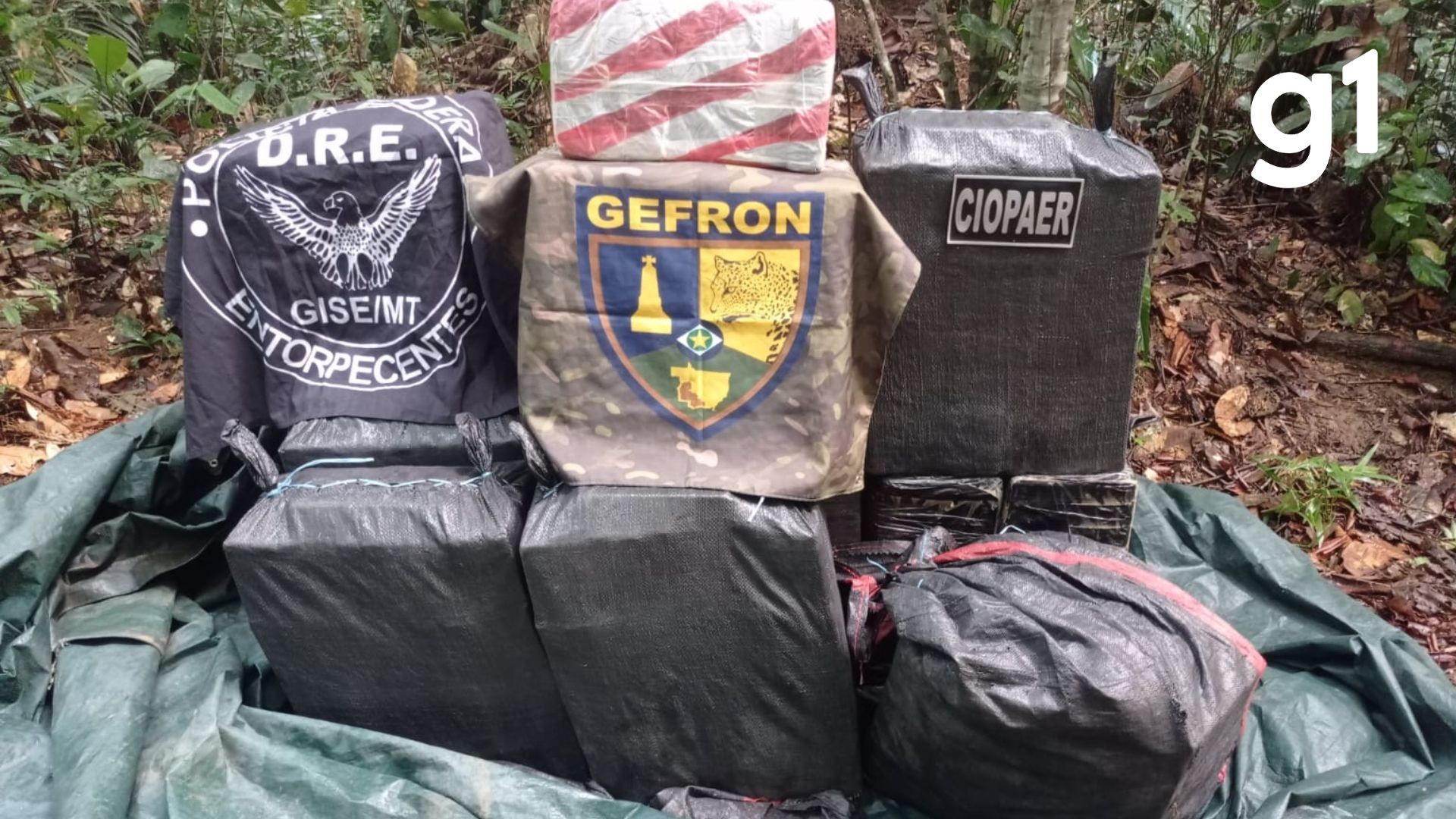 Avião usado para buscar 500 kg de drogas no PA é apreendido em MT