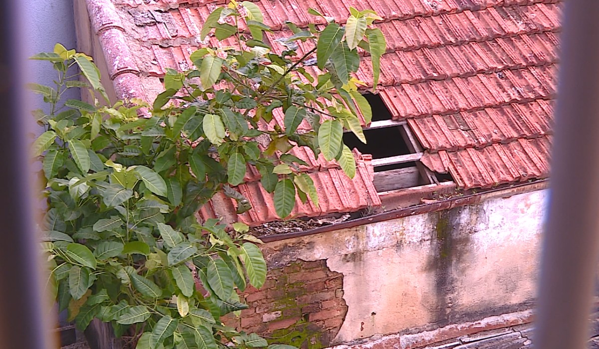 Reclamações sobre imóveis abandonados em Campinas crescem 61% em um ano; vizinhos relatam preocupação com saúde e segurança