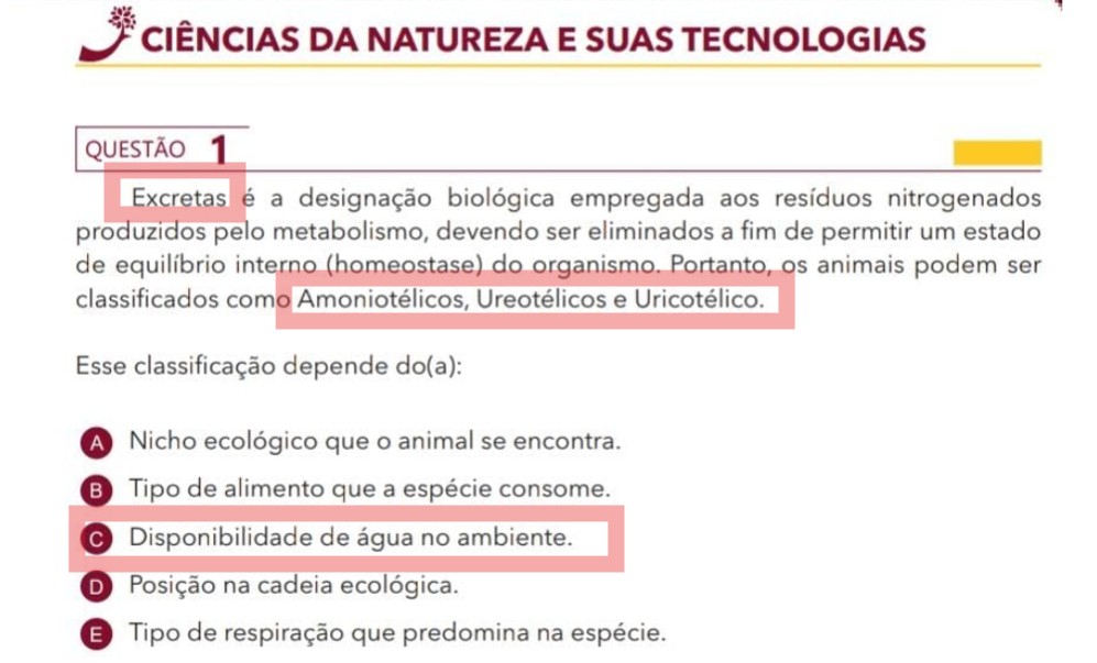 Você Não Tá Convidada pro Meu Bat Mitzvá!