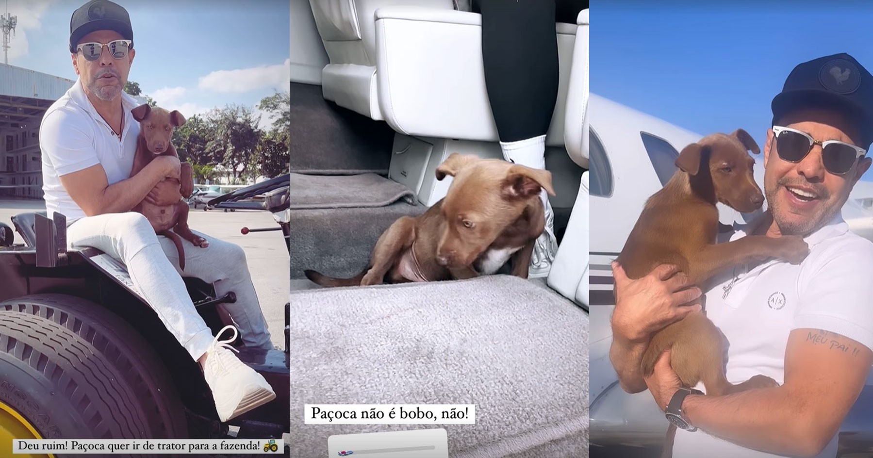 Zezé Di Camargo adota cachorro de rua após alimentá-lo em camarim de show: 'É meu agora'