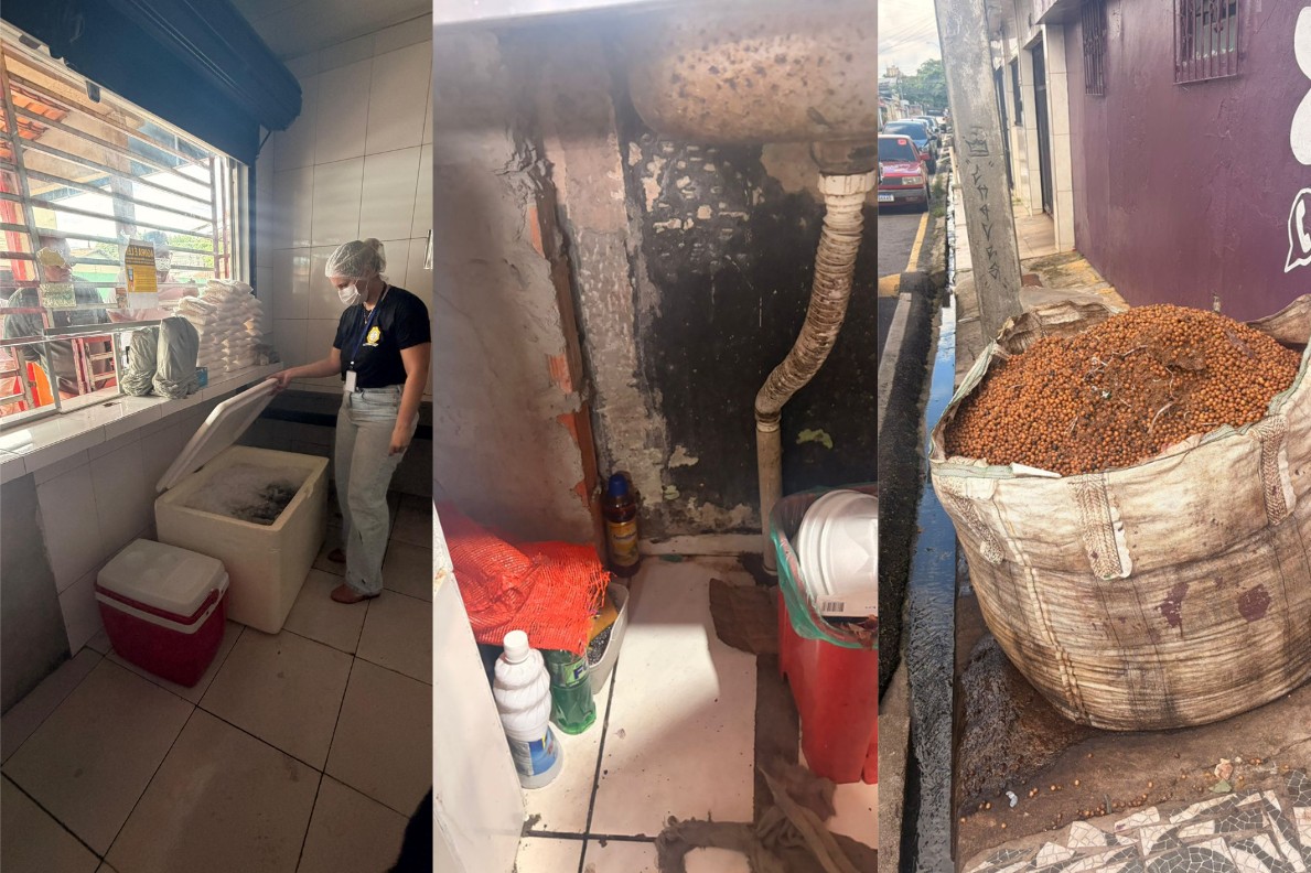 Três estabelecimentos de açaí são interditados em Ananindeua após casos de doença de Chagas