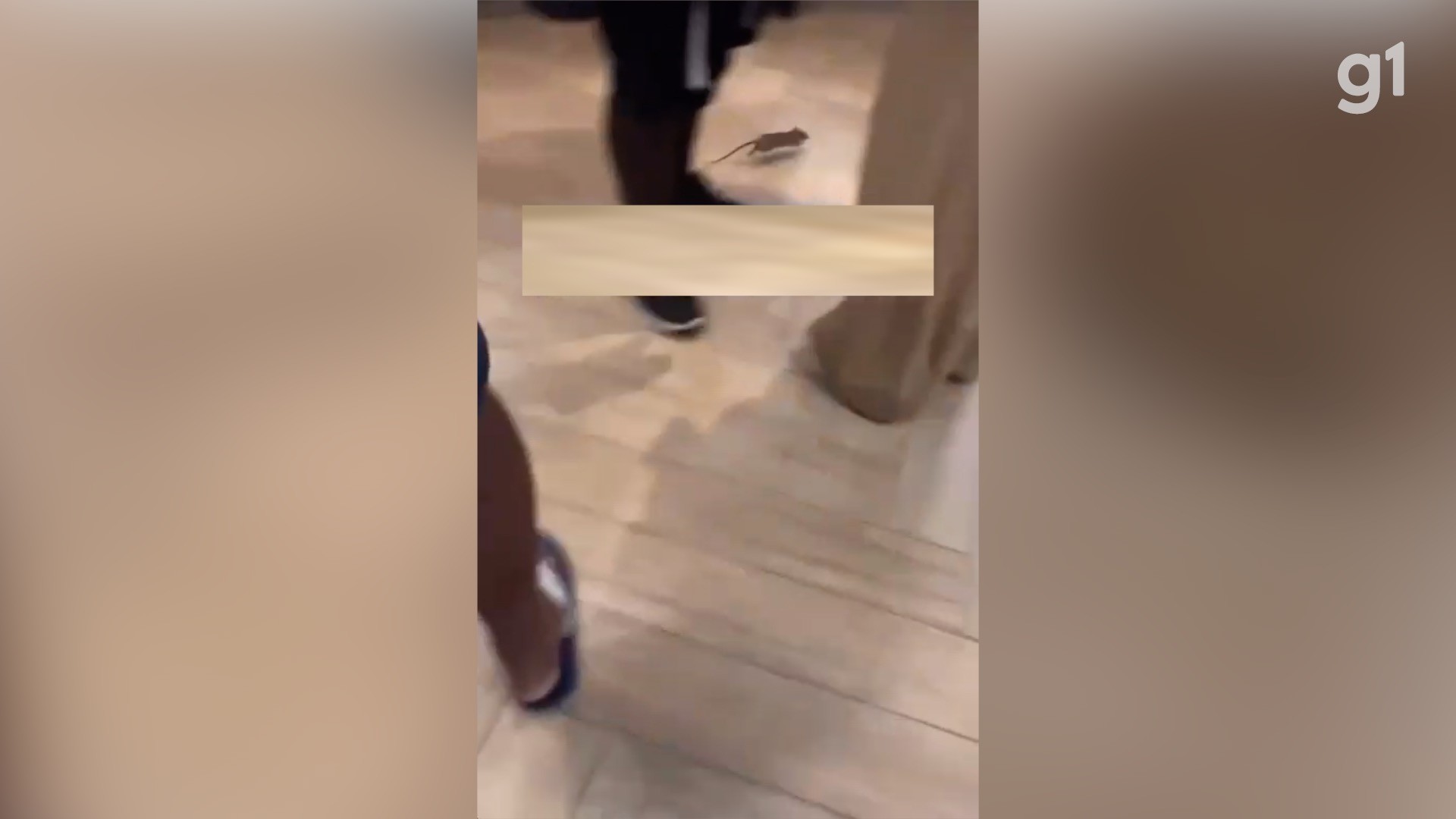 Vídeo: Ratinho provoca correria e gritaria em restaurante de rede de fast food em São Pedro da Aldeia 