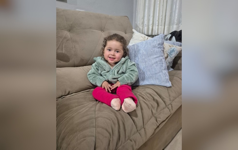 Aos oito meses, Luiza foi diagnosticada com atrofia muscular espinhal e precisa de tratamento milionário — Foto: Arquivo pessoal/Andreza de Oliveira Bezerra