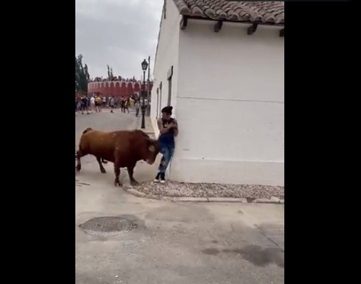 Mulher é atingida por touro enquanto mexia no celular 
