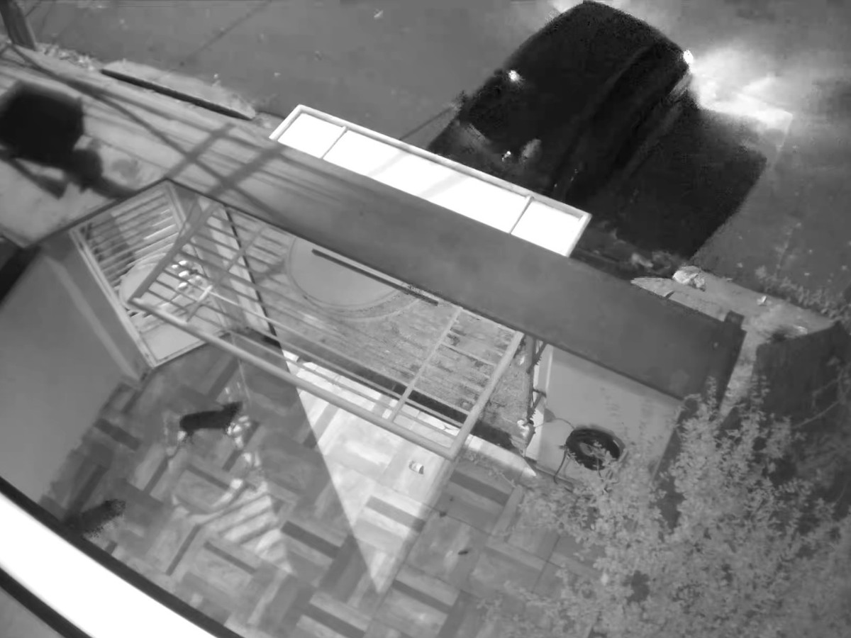 Vídeo: câmera flagra furto de carro em garagem de casa de Santa Bárbara d'Oeste