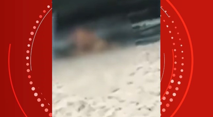 Casal ignora 'plateia' e faz sexo na areia da praia da Ponta Verde, em Maceió