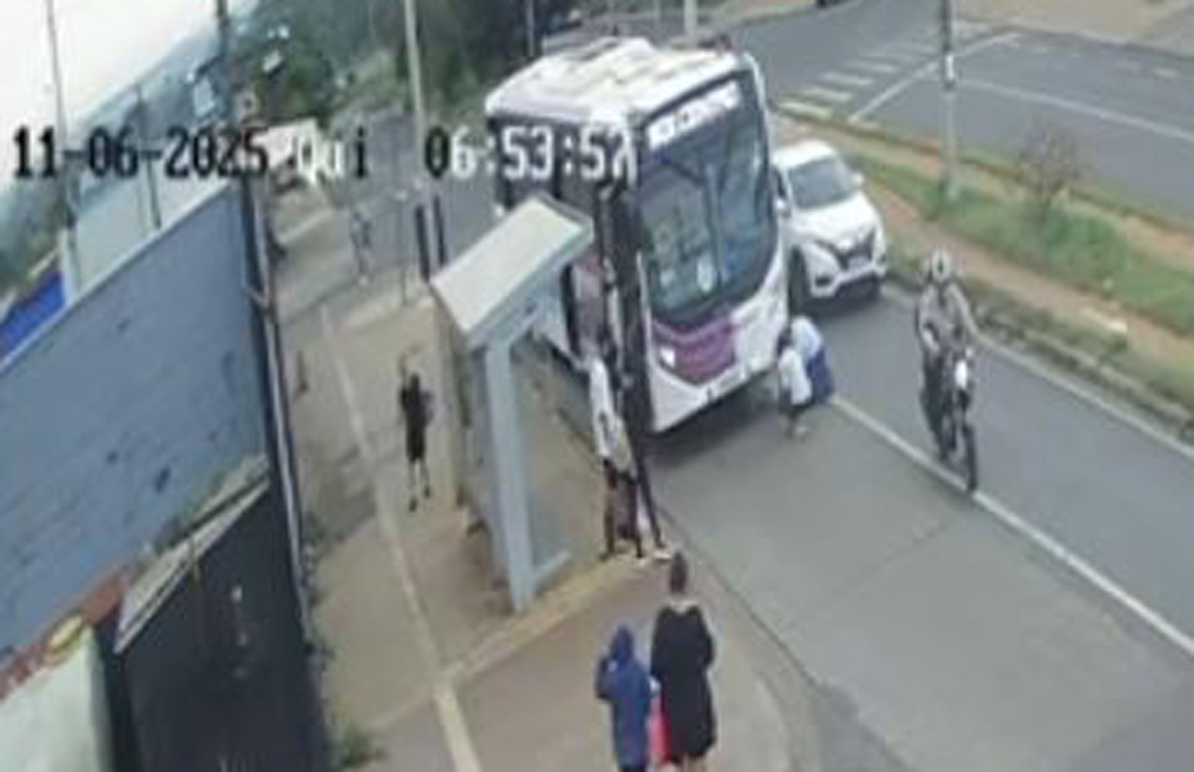 Cachorro morre ao ser atropelado duas vezes pelo mesmo motorista de ônibus em Ribeirão Preto; vídeo