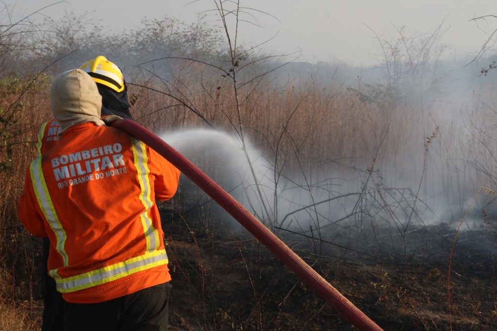 Corpo de Bombeiros combatendo incêndios — Foto: Divulgação/Corpo de Bombeiros