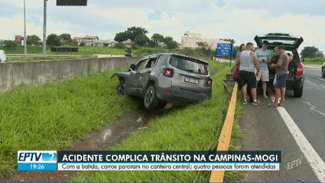 Jabuti e pintinhos deixados em sacada de apartamento são resgatados em Americana