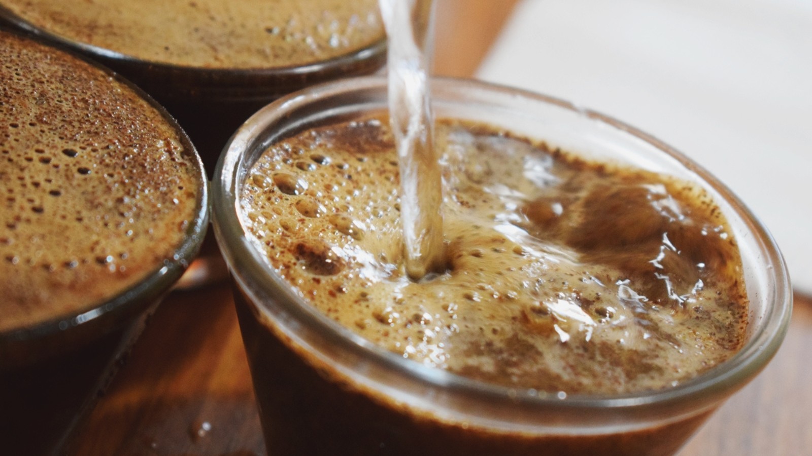 Programa Especialíssimo valoriza cafés de excelência e fortalece cafeicultores