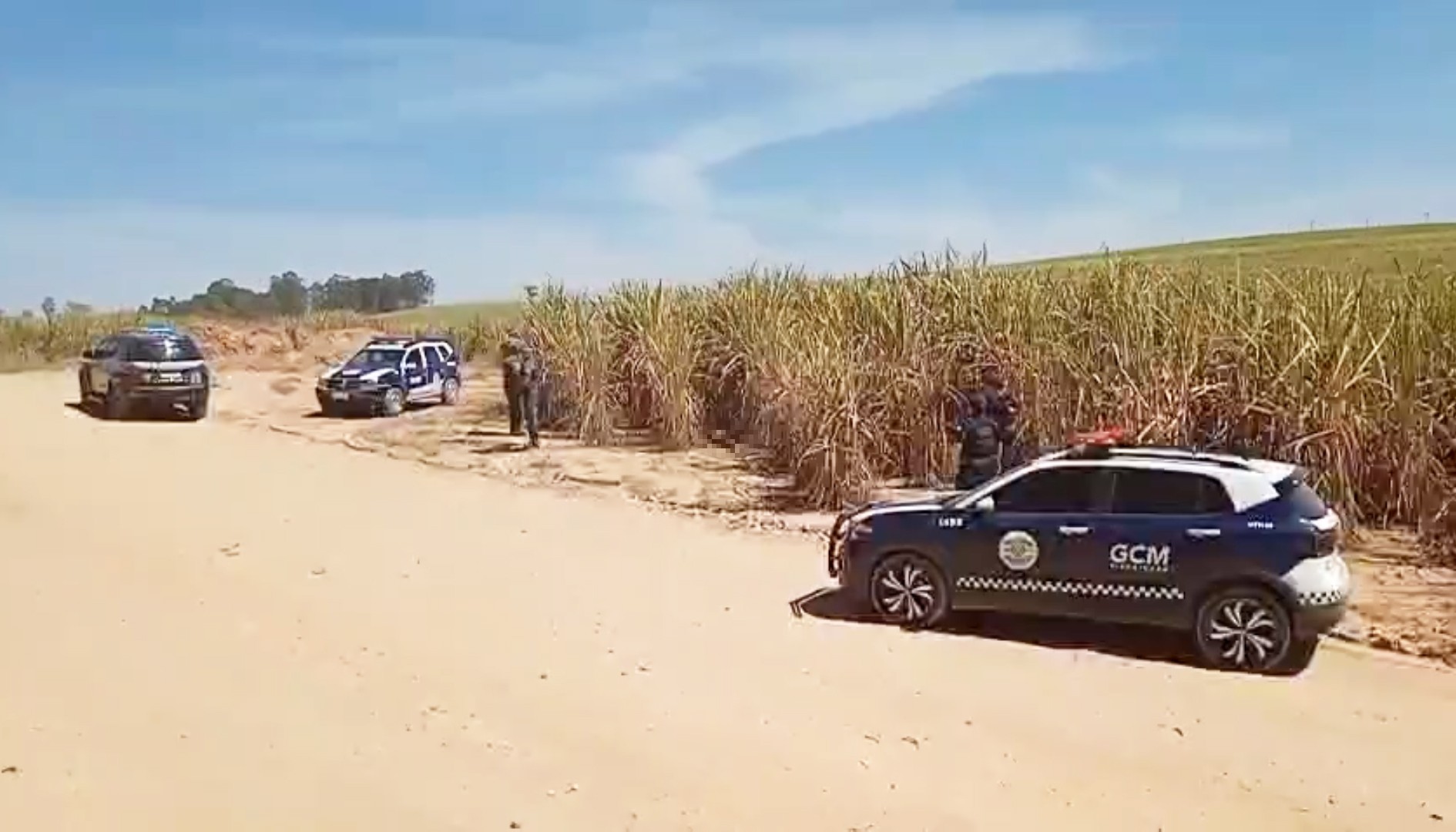 Corpo de jovem vítima de homicídio é localizado em canavial de Piracicaba