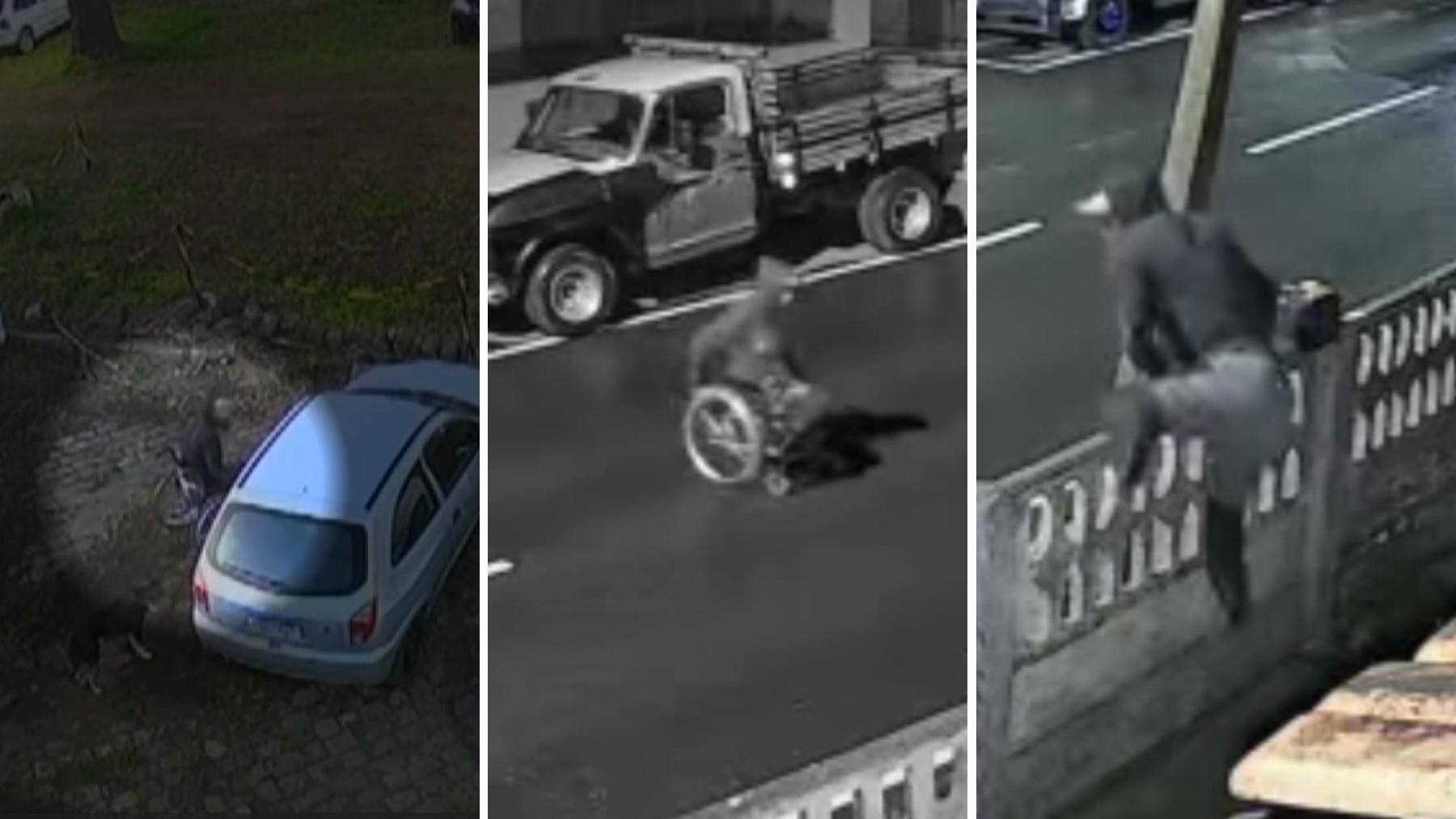 VÍDEO: cadeirante que pulou muro para furtar peças de veículos invadiu outra empresa para cometer o mesmo crime um dia antes, no PR