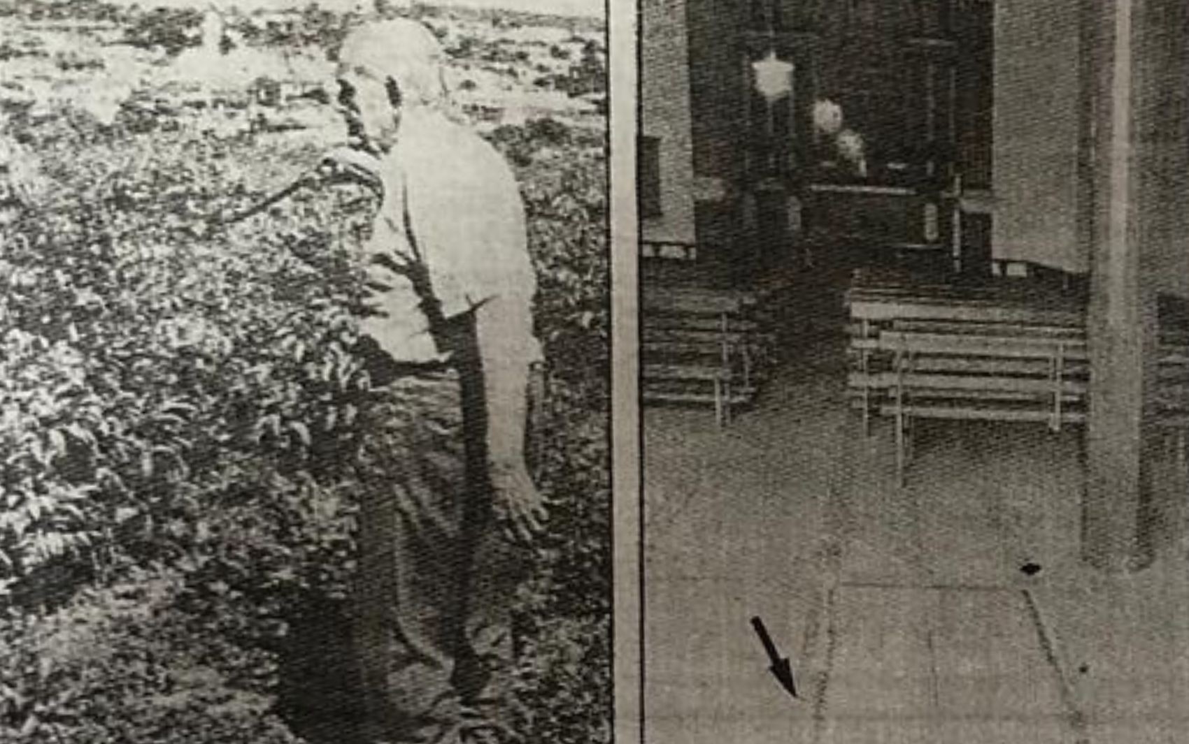 Crime e pena de morte: conheça a história do último homem livre condenado à forca no Brasil