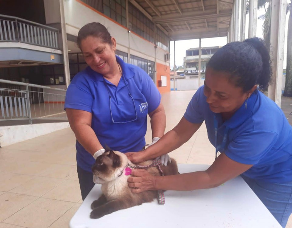 Rio das Ostras terá campanha de vacinação antirrábica para cães e gatos nos próximos dois sábados