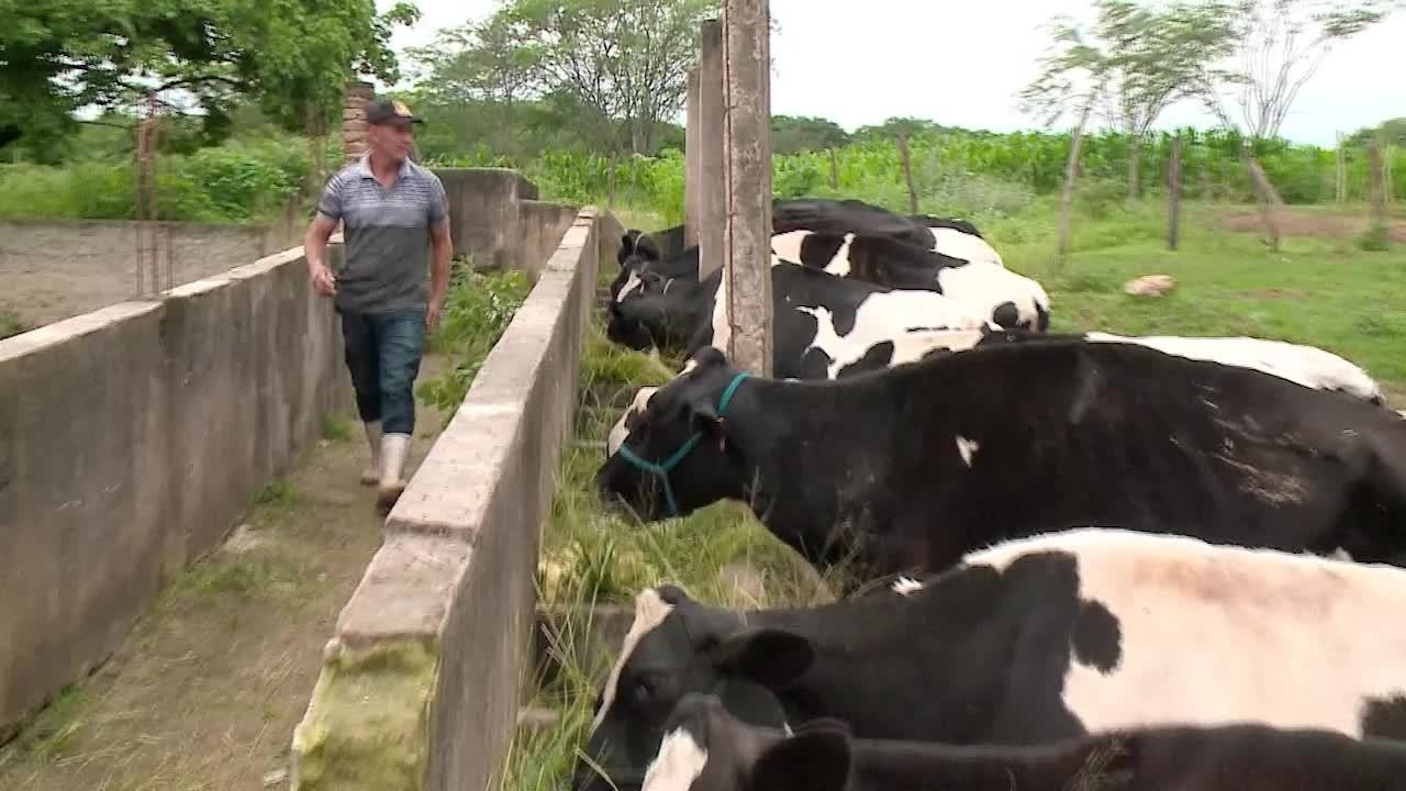 VÍDEOS: Gazeta Rural de domingo, 13 de julho 