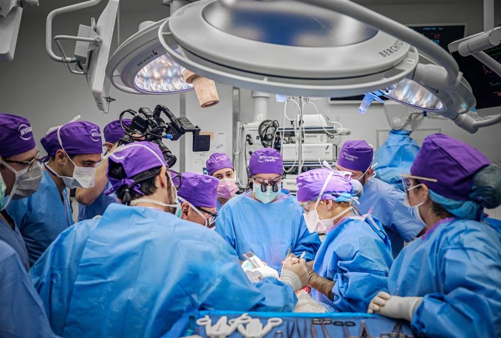 A cirurgia durou aproximadamente 21 horas e contou com uma equipe de mais de 140 cirurgiões, enfermeiros e outros profissionais de saúde — Foto: JOE CAROTTA / NYU LANGONE STAFF