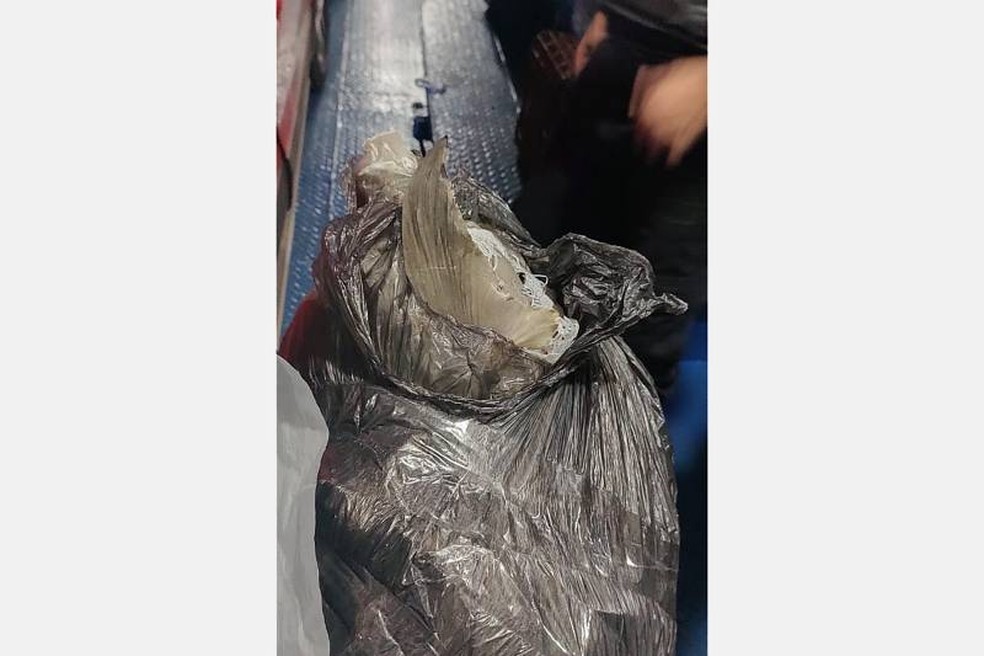 Saco com pescado apreendido. — Foto: Divulgação