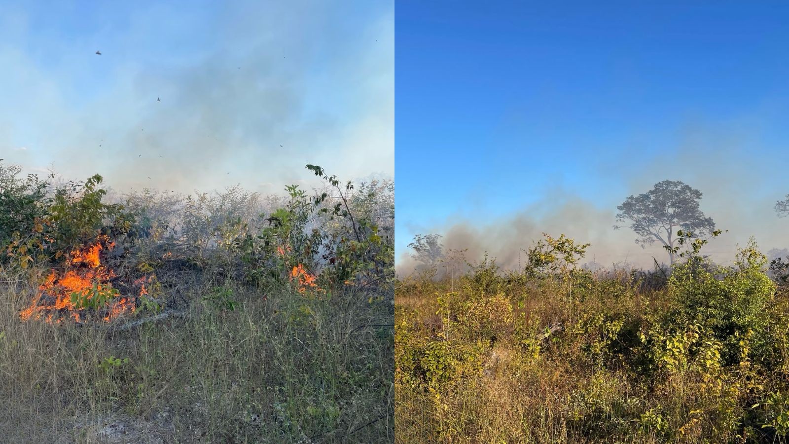 Incêndio é controlado após 21 dias no interior do PI; 34 hectares atingidos