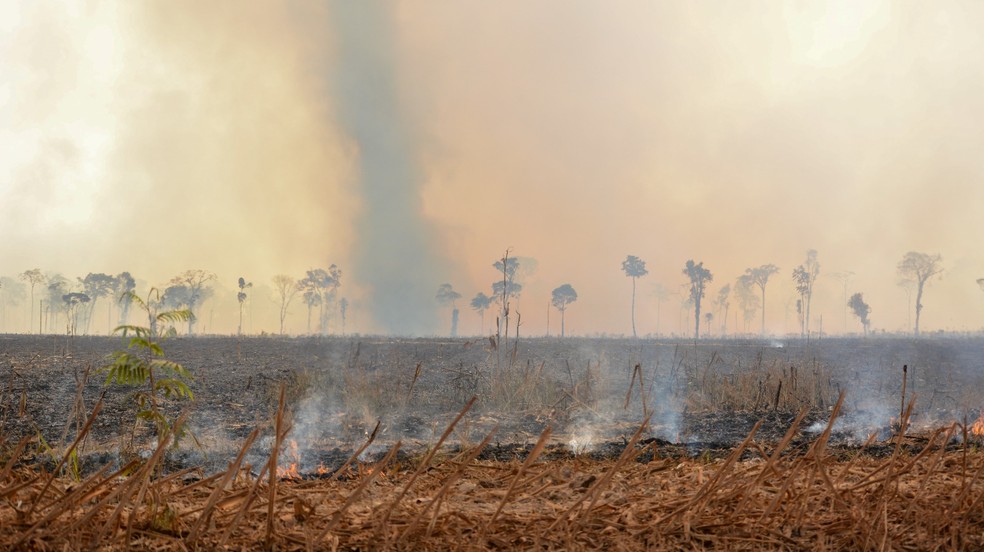Entre agosto e setembro de 2024, mais de 9 mil hectares da região do parque e seu entorno foram destruídos pelo fogo — Foto: Projeto Aliança Cristalino sem Fogo