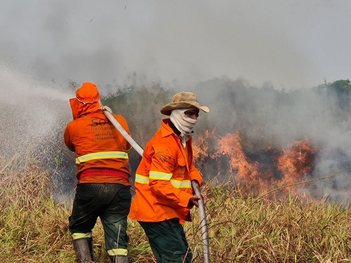 Governo libera R$ 150 milhões do Fundo Amazônia para combater incêndios no Cerrado e Pantanal 