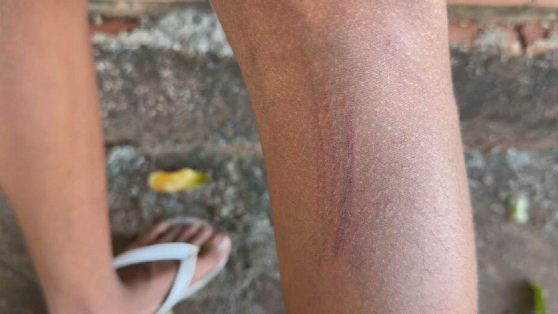 Adolescente diz à polícia ter sido agredido após falsa acusação de furtar pães e refrigerante em mercado  