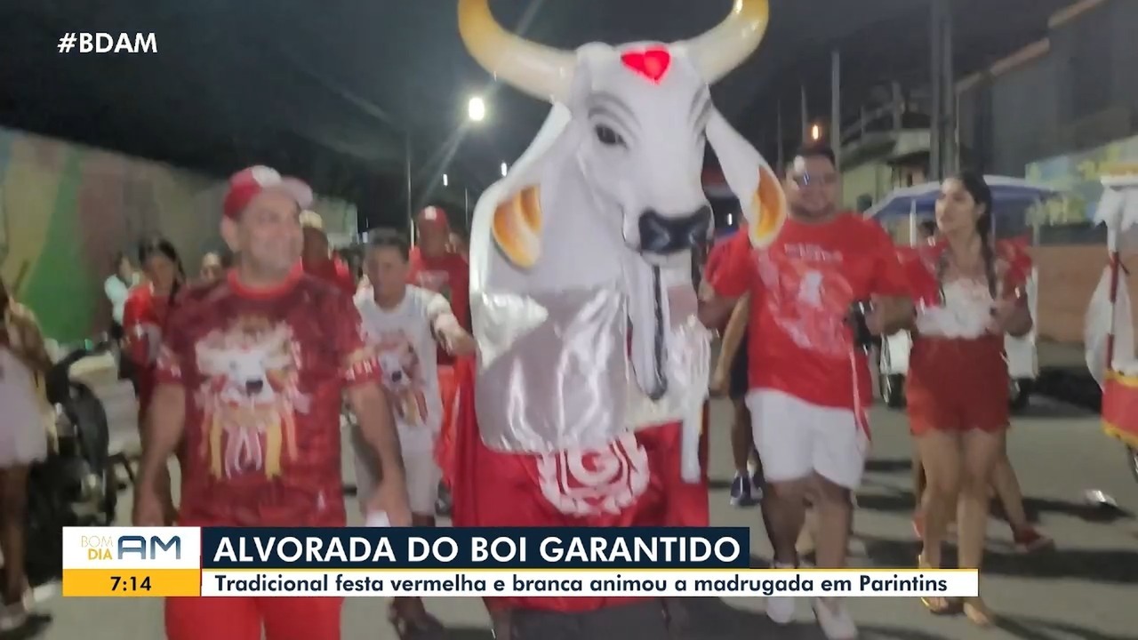 Alvorada do Boi Garantido reúne milhares de torcedores em Parintins e celebra 50 anos de história