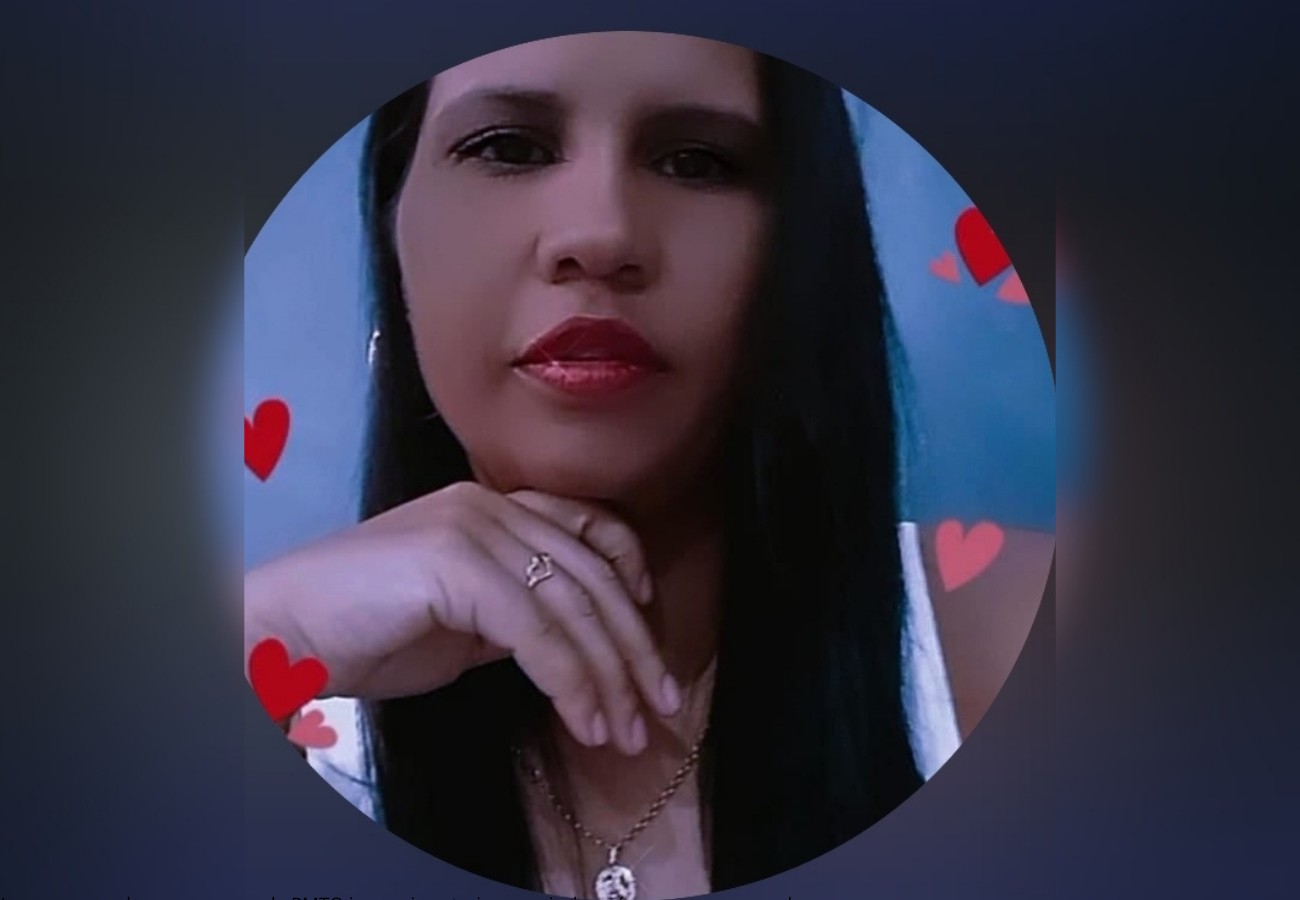 Mulher morre em hospital após acidente de trânsito com animal na BR-242 no Tocantins 