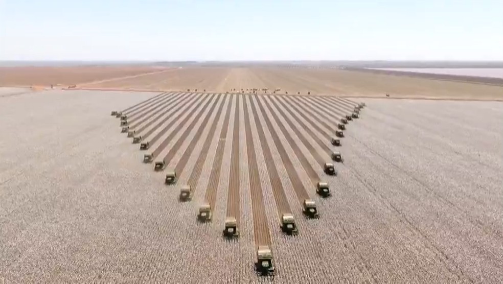 Maquinários auxiliam colheita do algodão em MT — Foto: Reprodução/TVCA