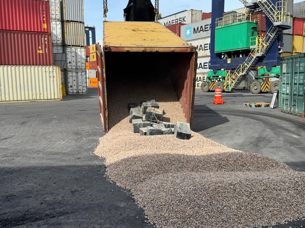 Apreensão de cocaína no porto de Salvador — Foto: Foto: Divulgação/Receita Federal