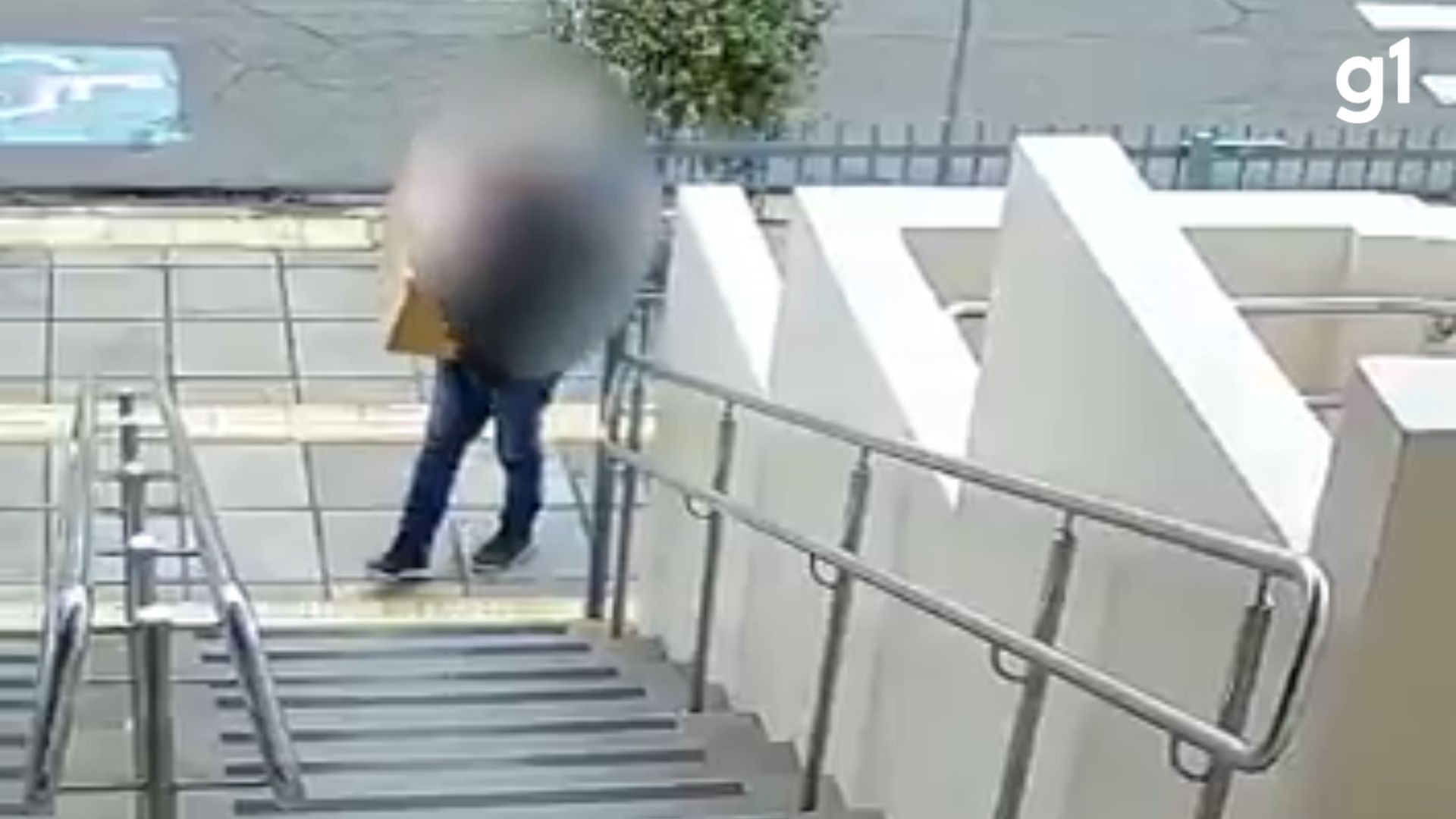 VÍDEO flagra momento em que homem entrega de caixa com cachorro morto para vereadora do RS