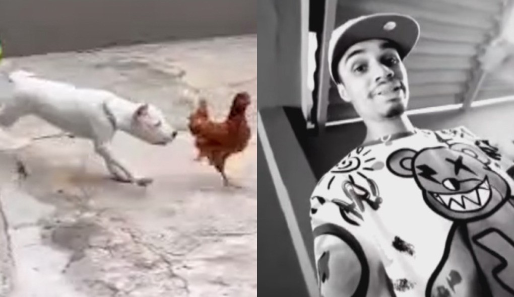 Influenciador é preso por maus-tratos após jogar galinhas vivas para cachorros comerem e filmar