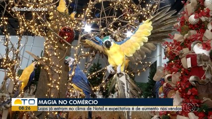 Tendências de decorações natalinas chega mais cedo e aquece expectativa dos lojistas