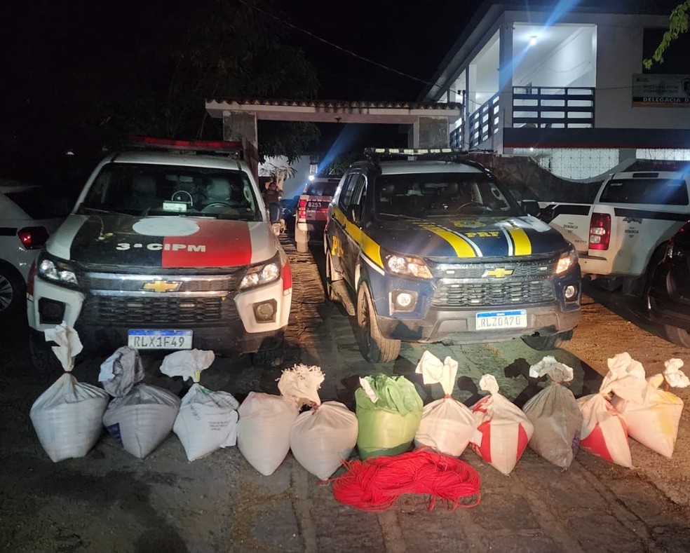 Homem preso com explosivos disse que material foi desviado de obra da Transposição do Rio São Francisco, diz PRF — Foto: Divulgação/PRF