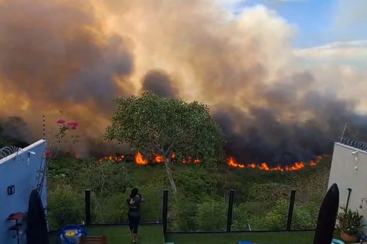 VÍDEO: incêndio atinge vegetação às margens do Rio Paraguai em MS