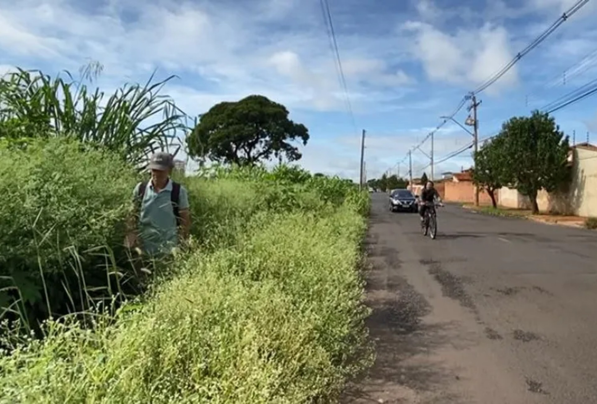 Mato alto e calçadas irregulares: mais de 200 imóveis são notificados em Campo Grande e multas chegam a R$ 12 mil