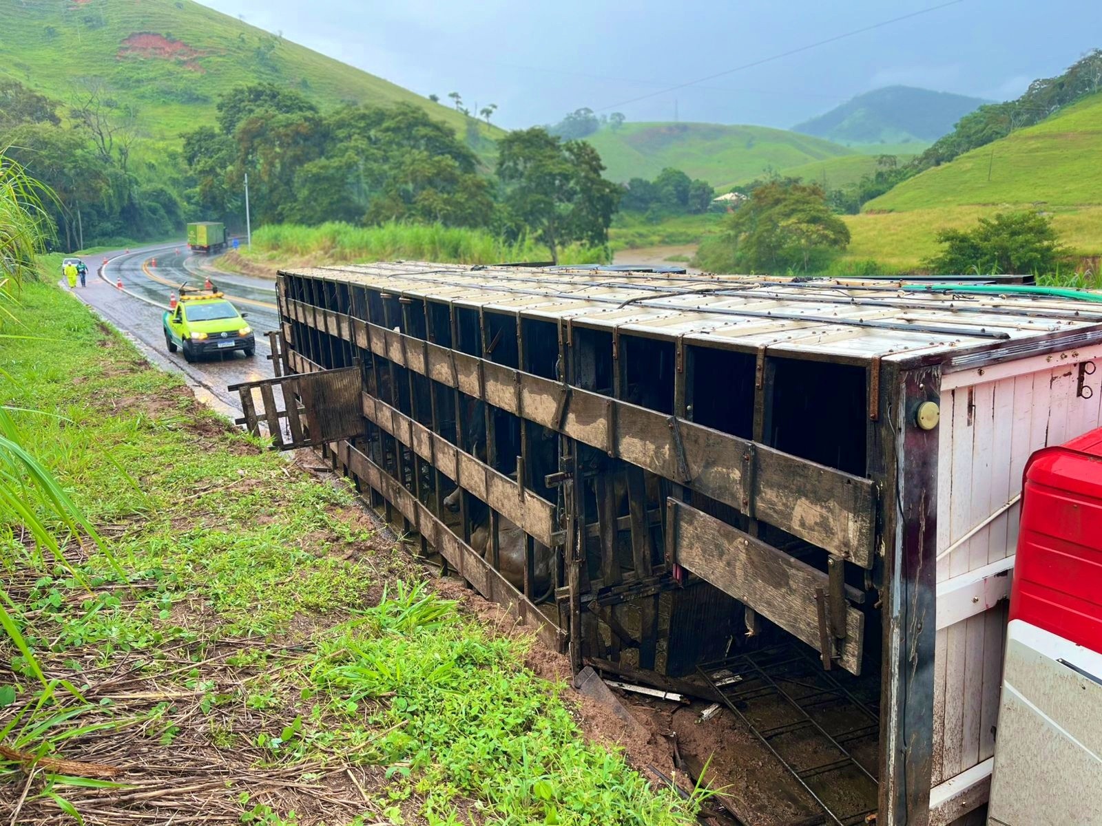 Caminhão carregado com gado tomba na BR-116, em Muriaé