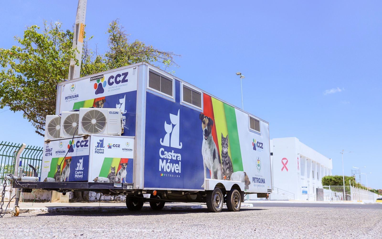 CCZ realiza triagem para castração de animais no bairro Dom Avelar nesta quinta-feira (25)