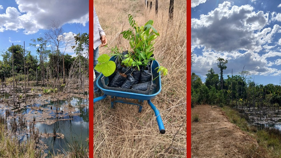 A iniciativa voltada ao desenvolvimento de trilhas ecológicas também prevê recuperação da vegetação, educação ambiental e capacitação dos alunos. — Foto: Natureza por Toda Parte - Trilhas Ecológicas