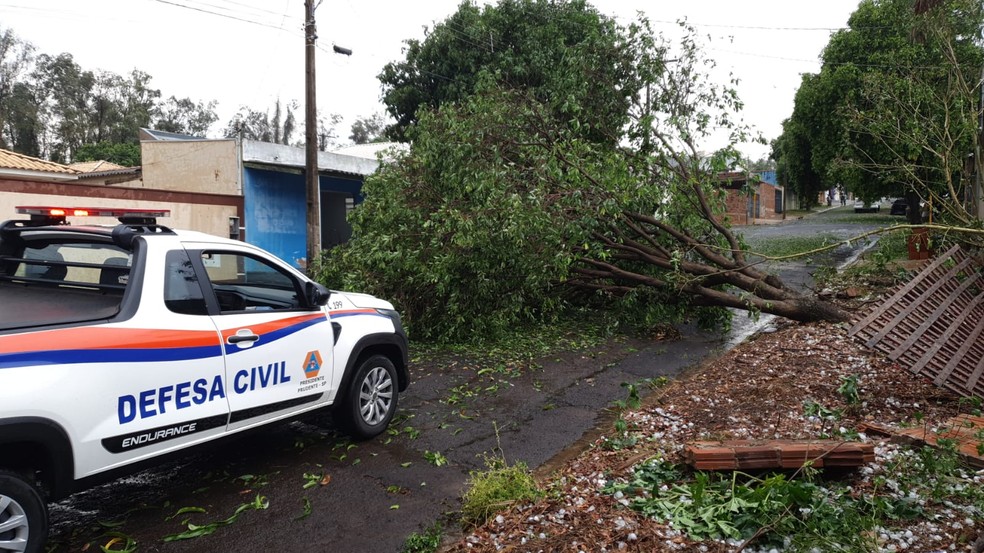 Chuva de granizo atinge região de Presidente Prudente (SP) e causa estragos em bairros e distritos — Foto: Defesa Civil