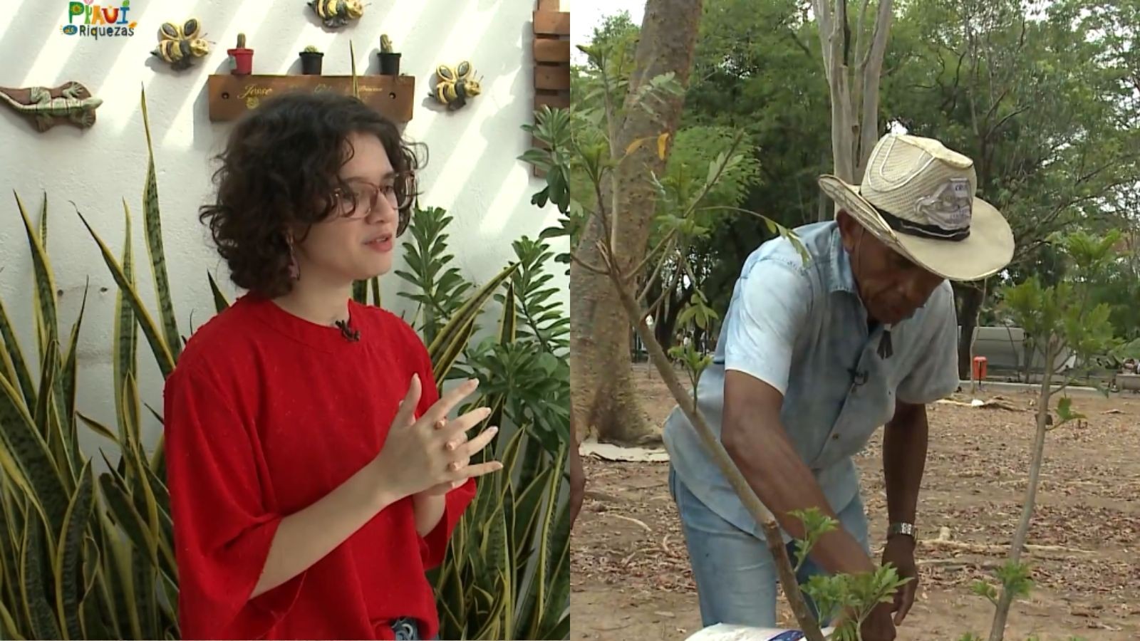 Entre o ‘mato’ e o afeto: duas diferentes gerações mostram por que cuidar das plantas vai além do verde