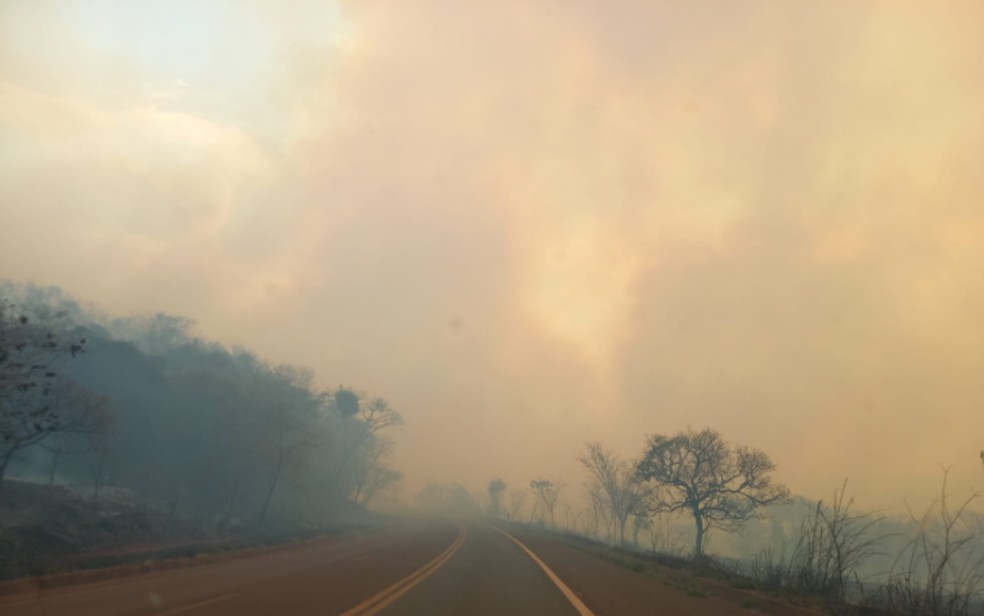 Cortina de fumaça comprometeu visão de motoristas na Rodovia Prefeito Fábio Talarico (SP-345), em Guará (SP) — Foto: Lindomar Cailton/EPTV