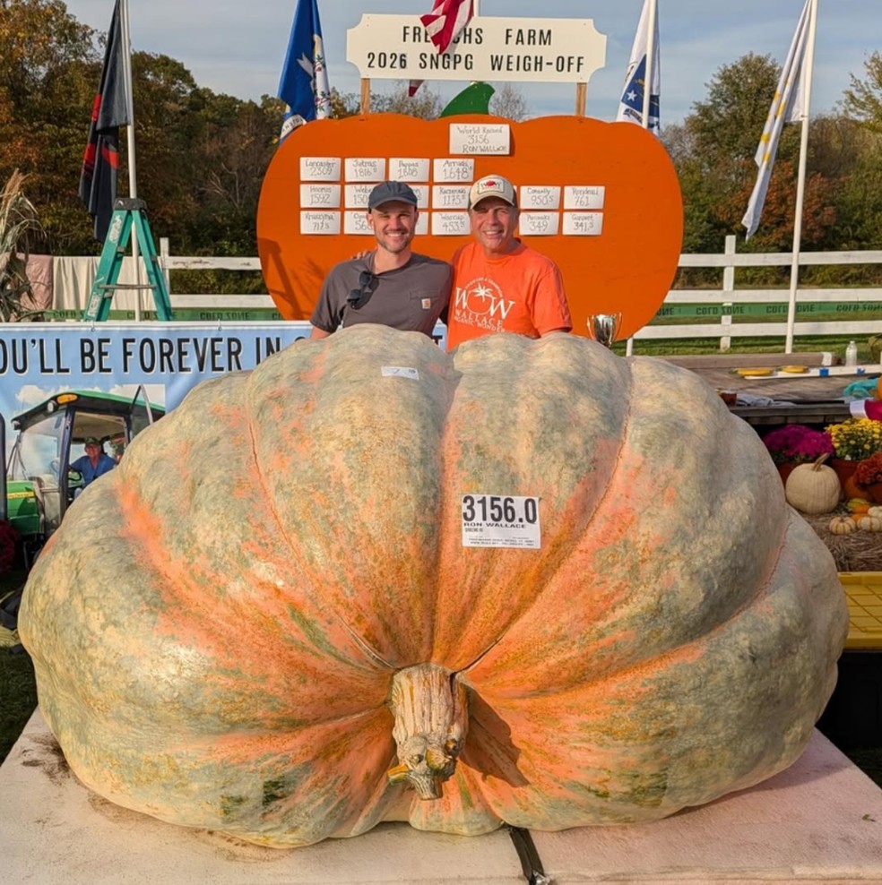 Abóbora gigante de 1.432 quilos colhida nos EUA pode bater recorde mundial. — Foto: Reprodução/Instagram/@northeastgiantpumpkin