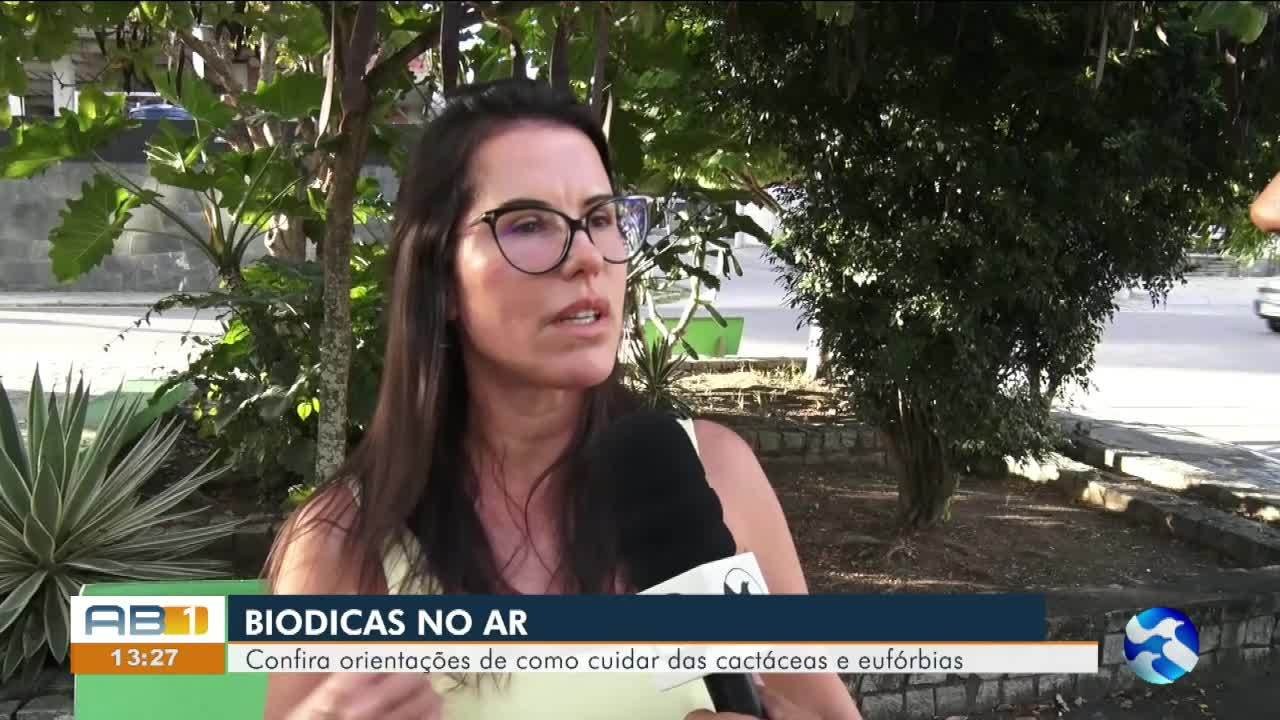 VÍDEOS: AB1 de sábado, 19 de setembro de 2026