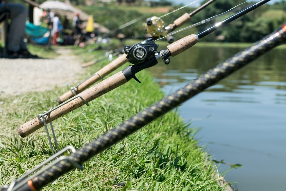 Pesca esportiva — Foto: Divulgação