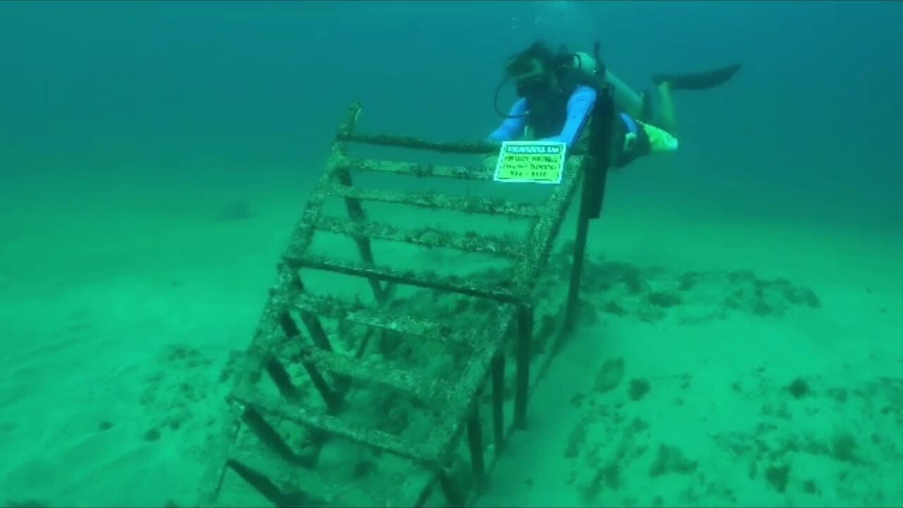 Pesquisadores estudam interferência de ruídos de Fernando de Noronha no comportamento de golfinhos